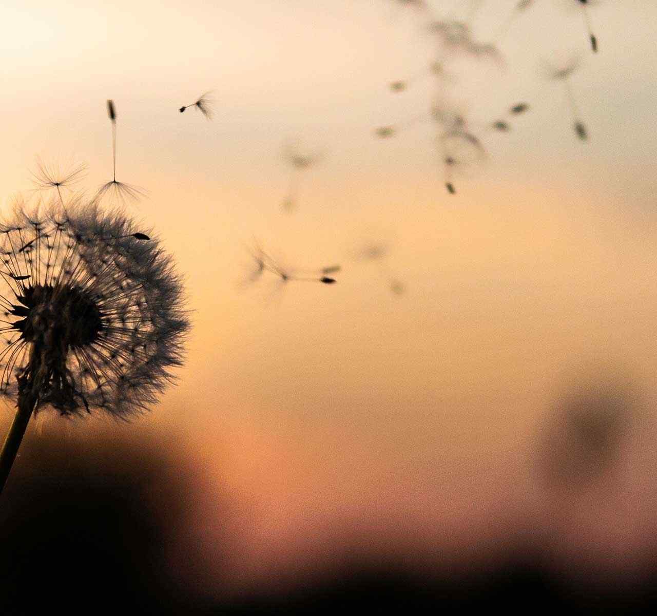 https://xinidislaw.gr/wp-content/uploads/2018/09/post_02-1280x1200.jpg