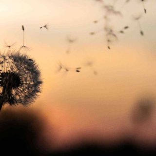 https://xinidislaw.gr/wp-content/uploads/2018/09/post_02-320x320.jpg